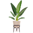 Ayo - Boho Floor Planter On Wooden Stand
