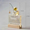 Acrylic Periodic Table: Real Element Samples + Light Base