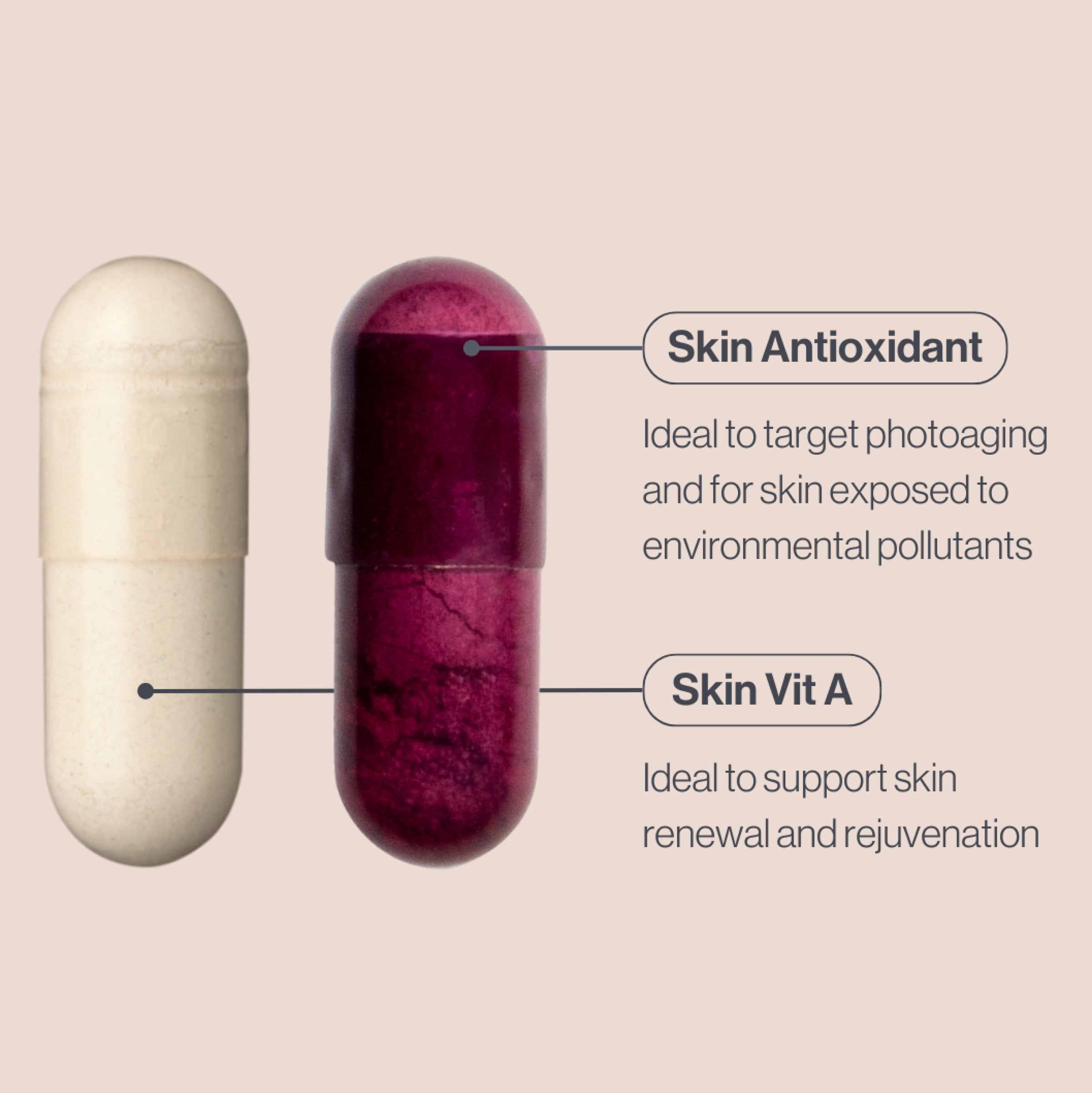 Advanced Nutrition Programme Skin Complete (120 capsules)