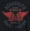 Aerosmith Summer 75 T-Shirt (Black)
