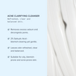 Alumier Acne Clarifying Cleanser