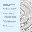 Alumier Purifying Gel Cleanser