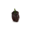 Hot Peppers - Ancho - Fresh Harvest Fruiting Crop