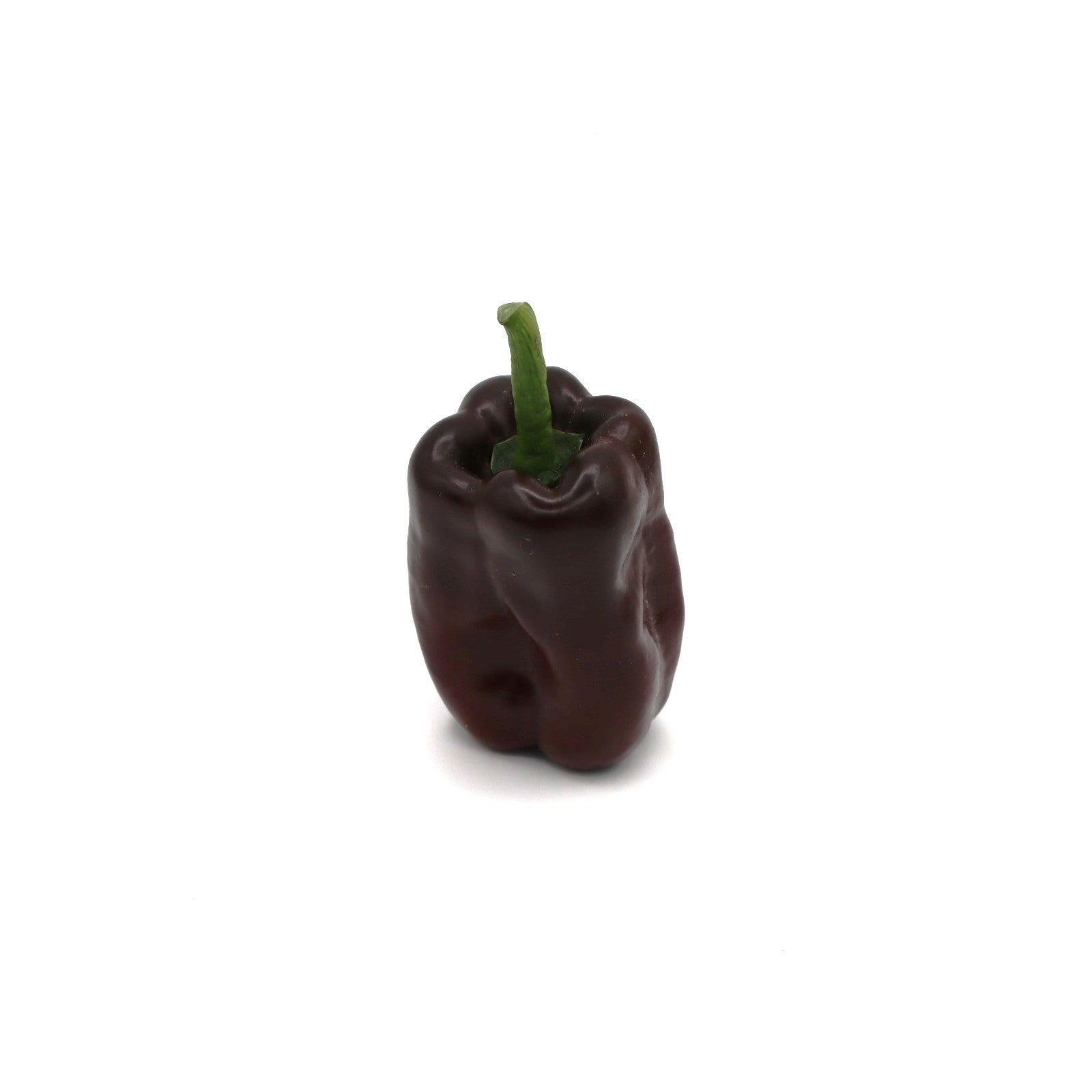 Hot Peppers - Ancho - Fresh Harvest Fruiting Crop