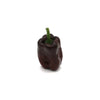 Hot Peppers - Ancho - Fresh Harvest Fruiting Crop