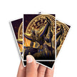 Manches de protection pour cartes Anubis