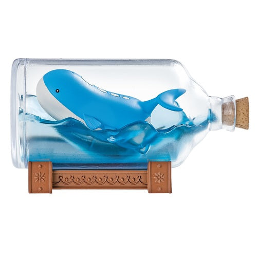 Pokemon Aqua Bottle (1 Random Box) (Re-ment Blind Box)