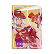 Arkana Dark Magicians Metal Field Center