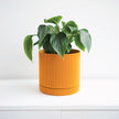 Hemlock Planter