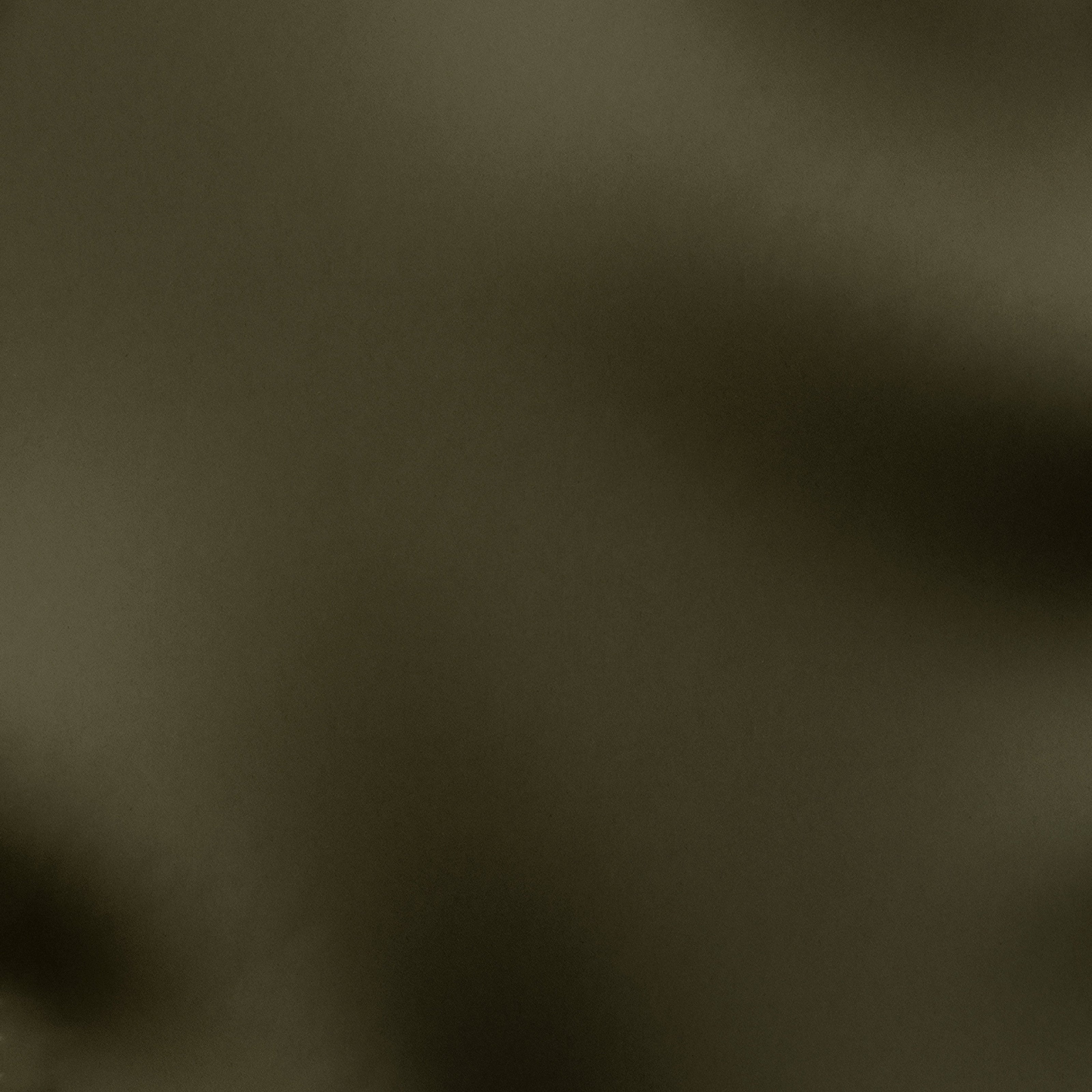 Fabric Swatch - Olive