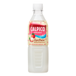 Asahi Calpico Lychee (500ML) [Best Before Date: 2026.04.22]