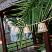 Aurora<br> Solar-charged Garland