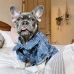 Dog Sweater Shirt | Chewy Pawtton Layered Knit