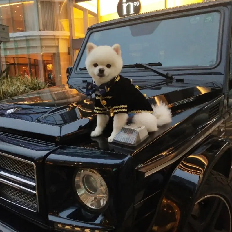 Captain Classic Dog Suit | Formal Occasion Dog Outfit