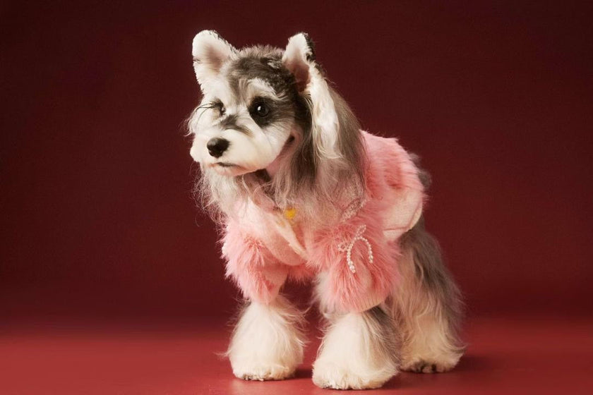 Gia Dog Sweater | Dog Sweater for Cold Weather