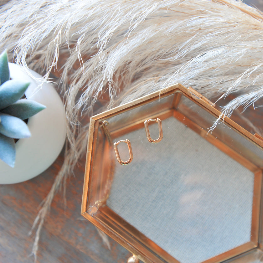 Dorit hoops