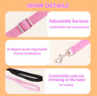 Crystal Lace Dog Harness & Leash Set – Luxury Designer Pet Wear