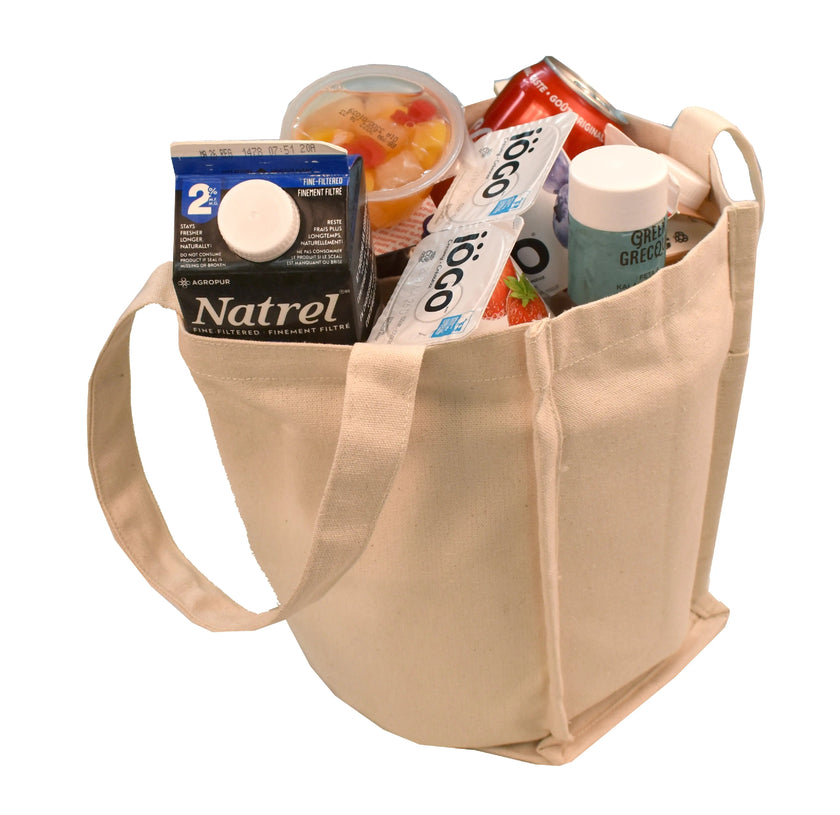 Ecorite Cotton Canvas 6 bottle Wine Tote - B3800