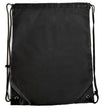Budget Cinch Pack - B5600