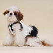 Tina Dress for Dogs – Elegant Tutu Dog Dress