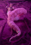 Arcanadea ,Meltina Plastic Model Kit
