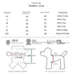 Balenca Dog Sweater