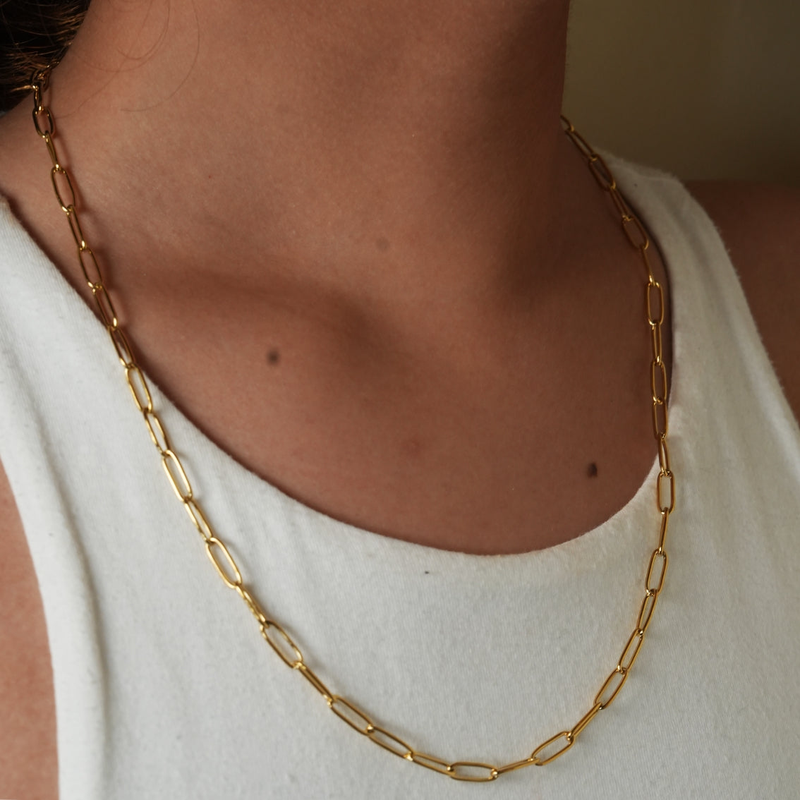 BARBICAN: Essential Gold Chain Link Paper-Clip Necklace - 22
