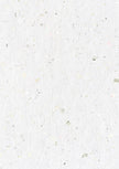 BG Paper 170gr Celebrate New Beginnings 210x297mm nr.337