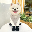 Doggy Winter Boots – Waterproof Winter Boots for Dogs