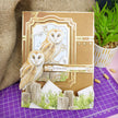 Soaring Skies Luxury Topper Set