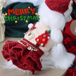 Holiday Heirloom Tweed Dog Dress Set | Dress with Matching Hat
