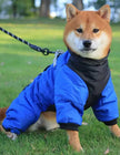 Vancouver Dog Rain Jacket | Waterproof Dog Jacket