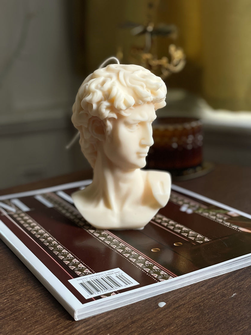 David Bust