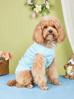 Easter Blue Shirt