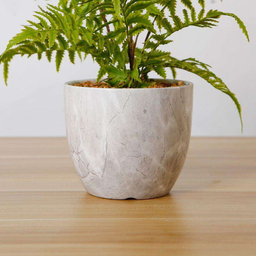 Bera Potted Faux Fern