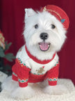 Gingerbread Christmas Dog Sweater – Holiday Knit Winter Outfit for Dogs
