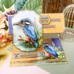 Beautiful Birds Deco-Large Set - Colourful Kingfisher
