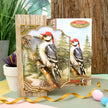 Beautiful Birds Deco-Large Set - Wonderful Woodpecker
