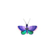 Blue Copper Butterfly