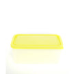 Bentology Container, LARGE