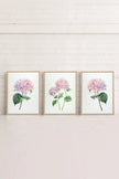BLOSSOMING TRIO (3 Oeuvres sur toile étirée)