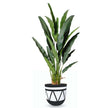 Bora Cement Planter (Multiple Sizes)