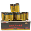 BRS D Alkaline Batteries — 12‑Pack (BRSLR20D)