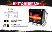 High Performance BRS20HL-BS 12v Sealed AGM PowerSport 2 Year Warranty