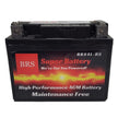 High Performance BRS4L-BS 2 Year Warranty & Smart Charger / Maintainer Combo Bundle Kit 12v Sealed AGM PowerSports Battery