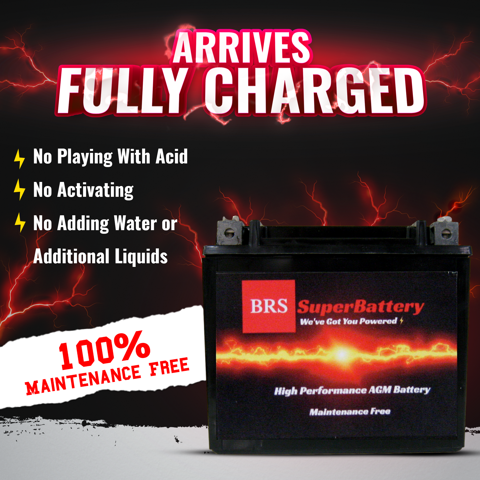 High Performance BRS20CH-BS 2 Year Warranty & Smart Charger / Maintainer Combo Bundle Kit 12v Sealed AGM PowerSports Battery