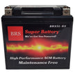 High Performance BRS5L-BS BS 2 Year Warranty & Smart Charger / Maintainer Combo Bundle Kit 12v Sealed AGM PowerSports Battery