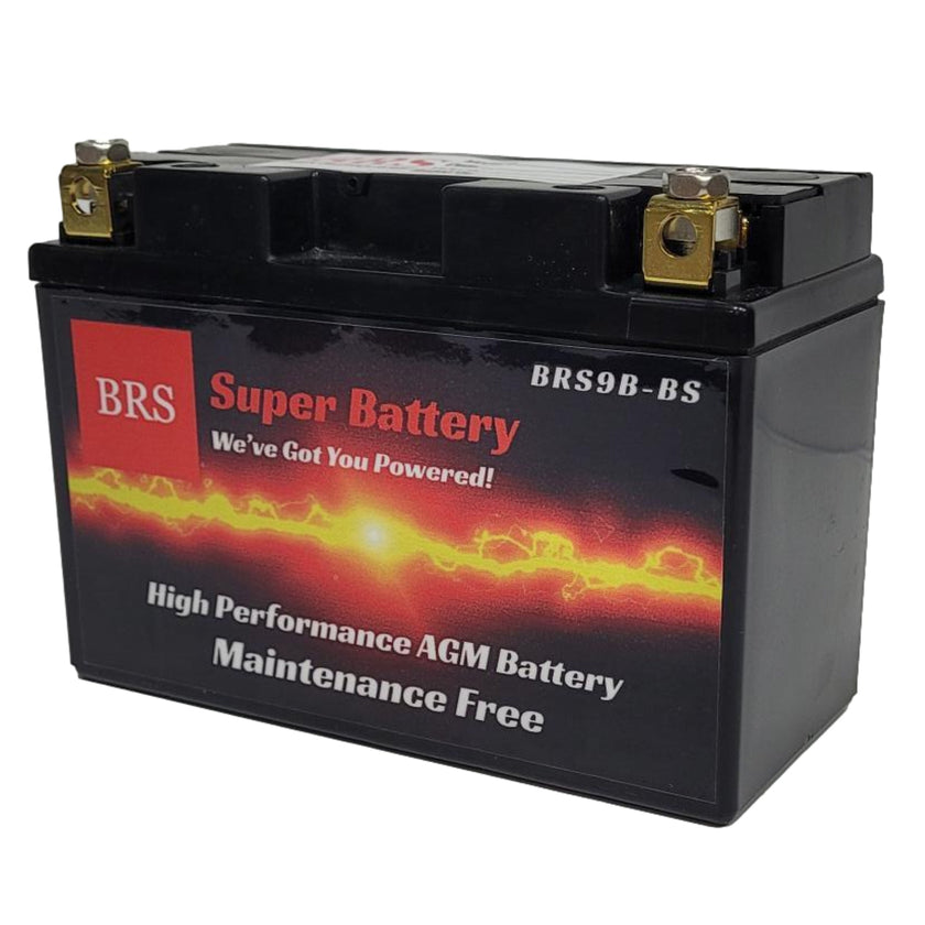 BRS9B-BS 30 Day Warranty Battery & Smart Charger / Maintainer Combo Bundle Kit