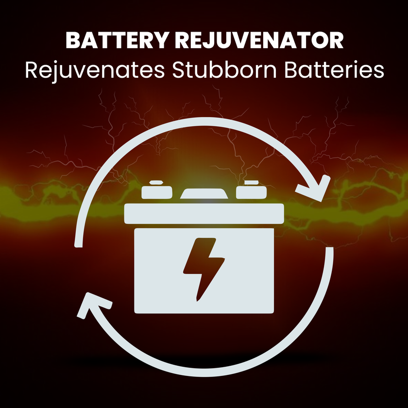 BRS Super Charger BRS612 - 6V/12V Trickle Charger - Battery Maintainer & Rejuvenator