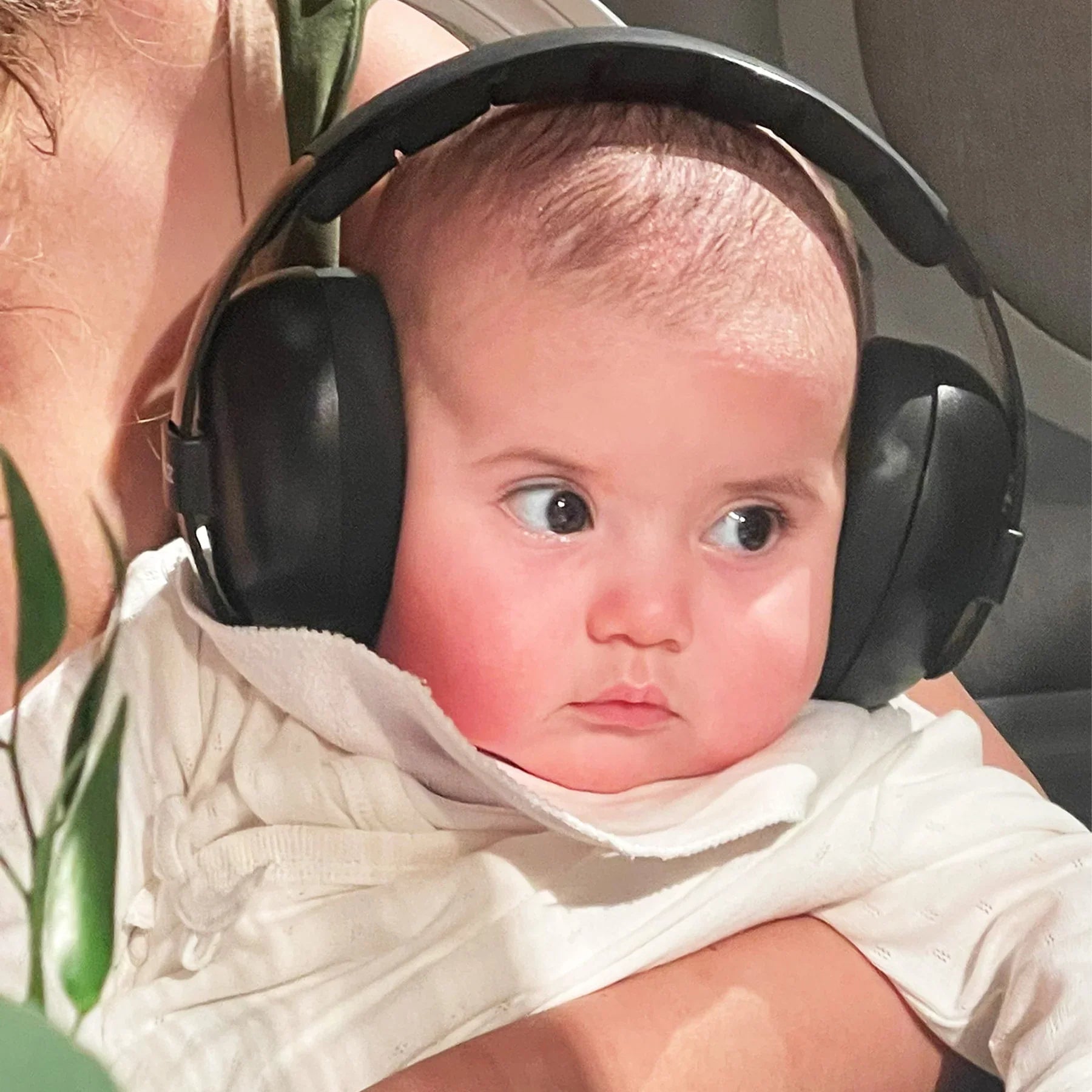 Baby Banz Inc. Baby Hearing Protection Earmuffs (2m+) - Onyx